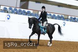 15R9_07621 thumbnail