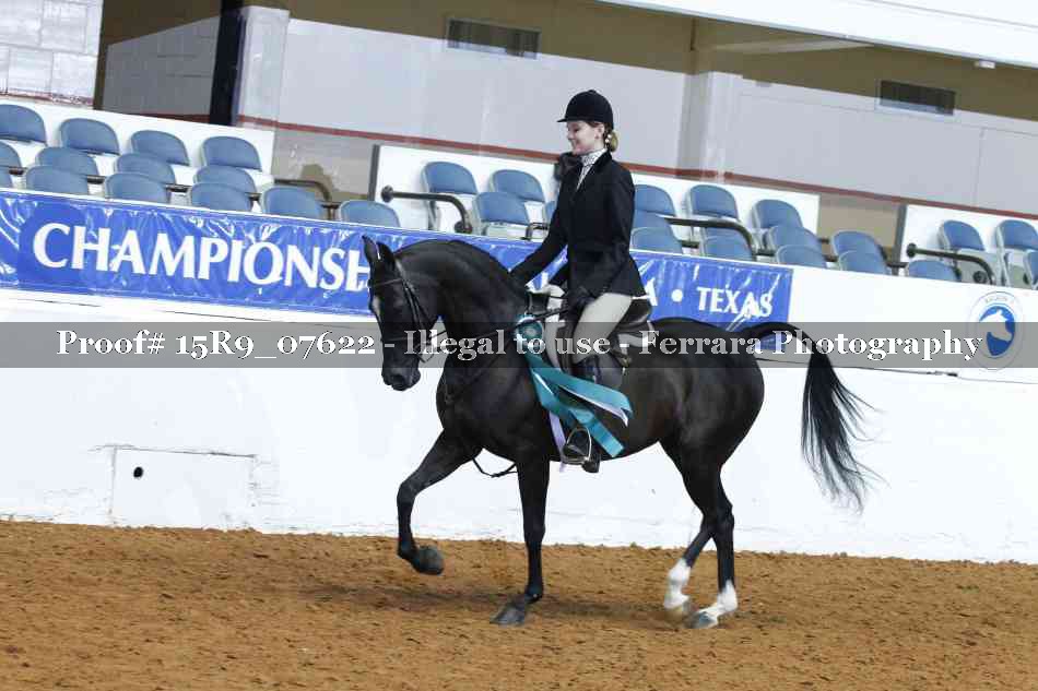 Proof Number 15R9_07622