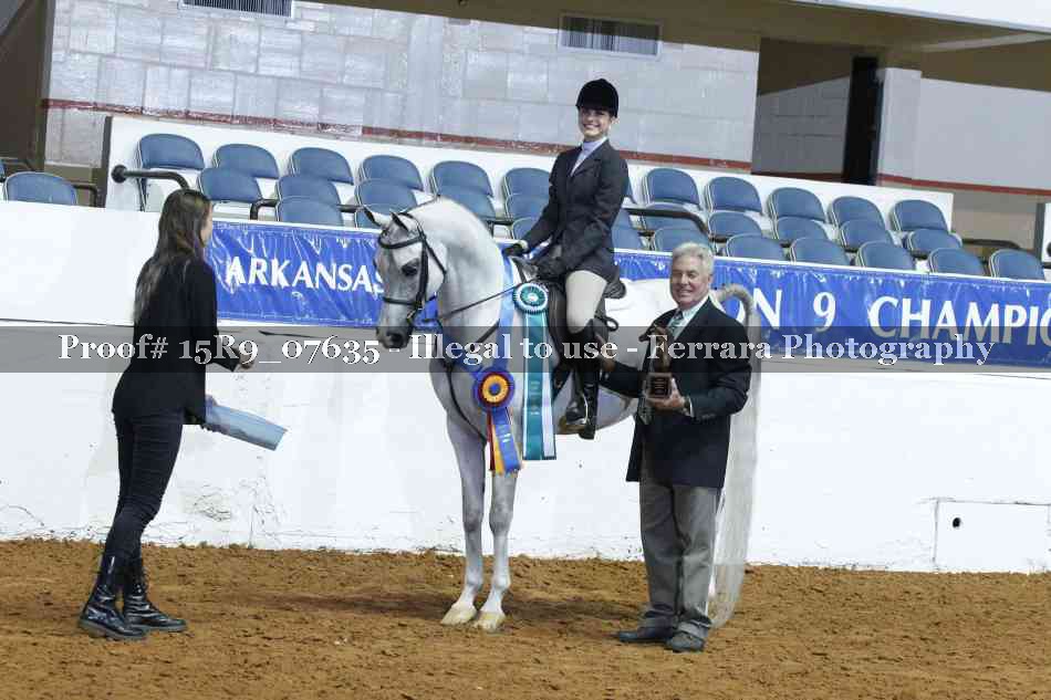 Proof Number 15R9_07635