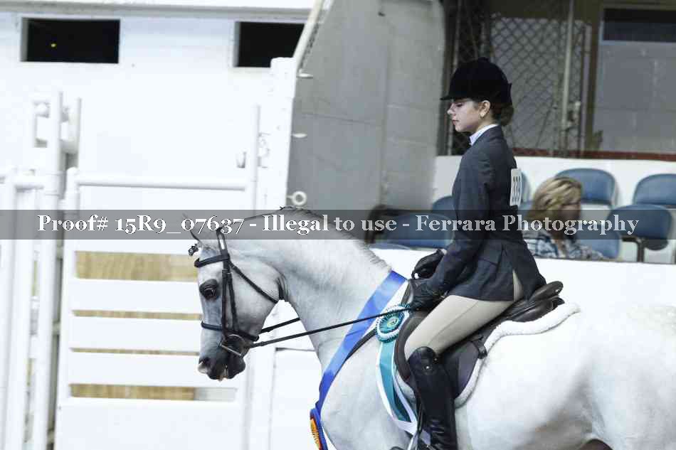 Proof Number 15R9_07637