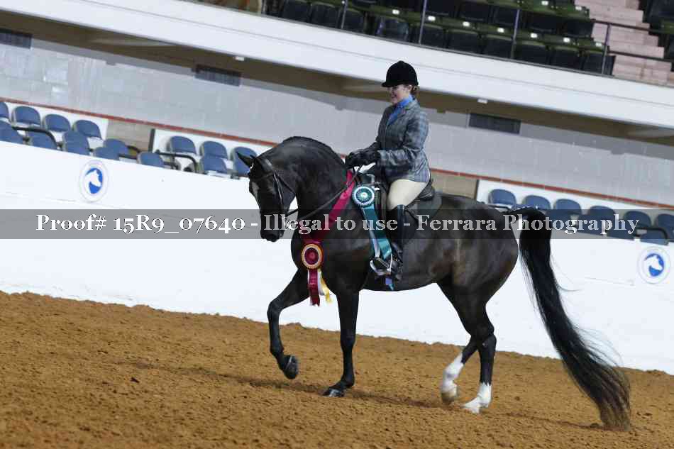 Proof Number 15R9_07640