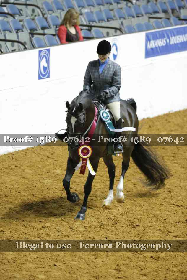 Proof Number 15R9_07642