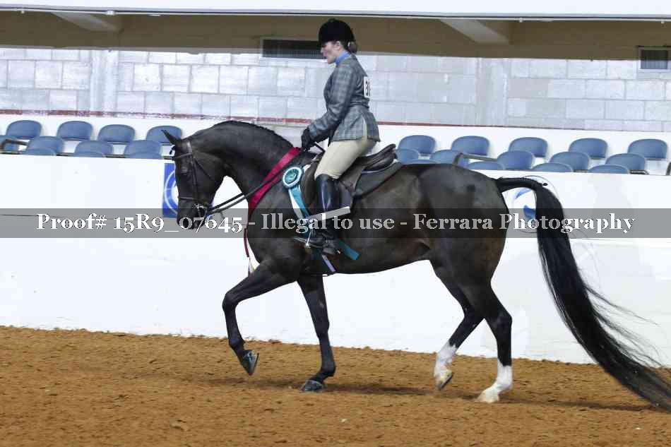 Proof Number 15R9_07645