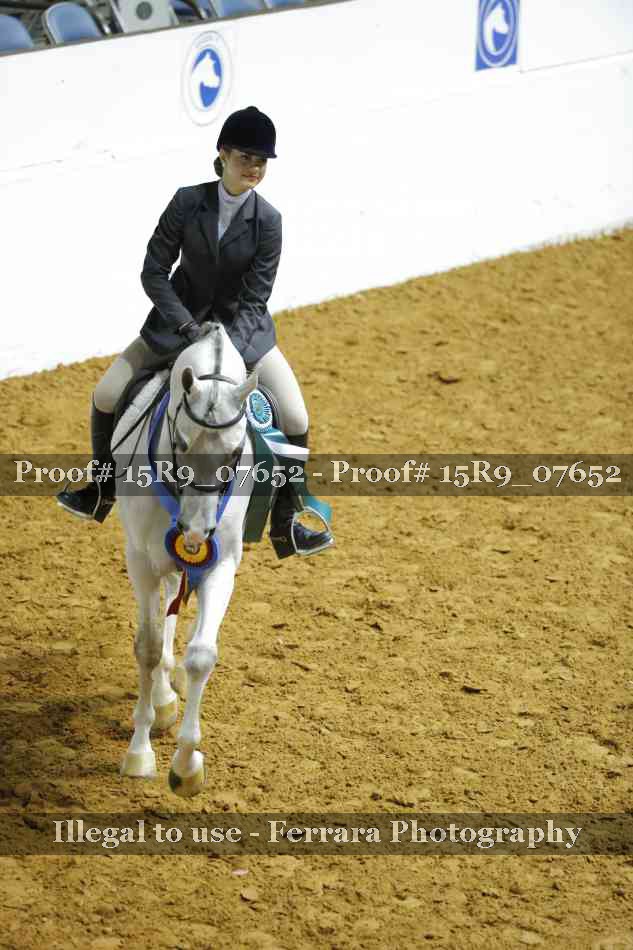 Proof Number 15R9_07652