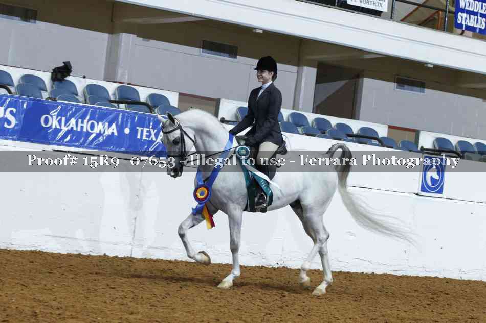 Proof Number 15R9_07653