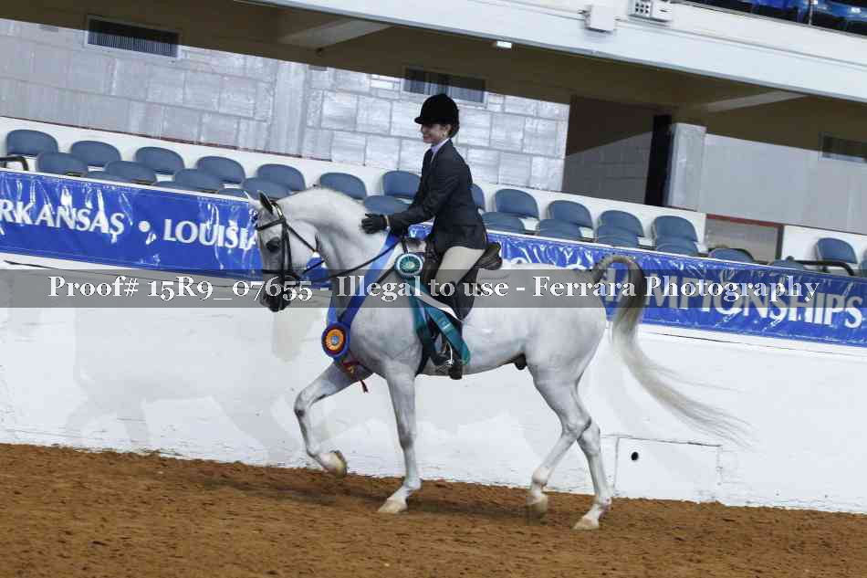 Proof Number 15R9_07655
