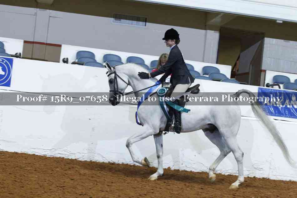 Proof Number 15R9_07658