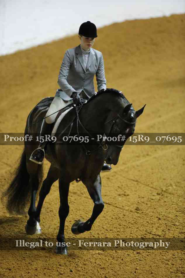 Proof Number 15R9_07695
