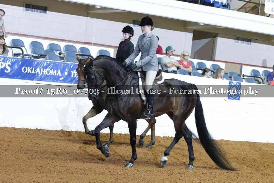 Proof Number 15R9_07703