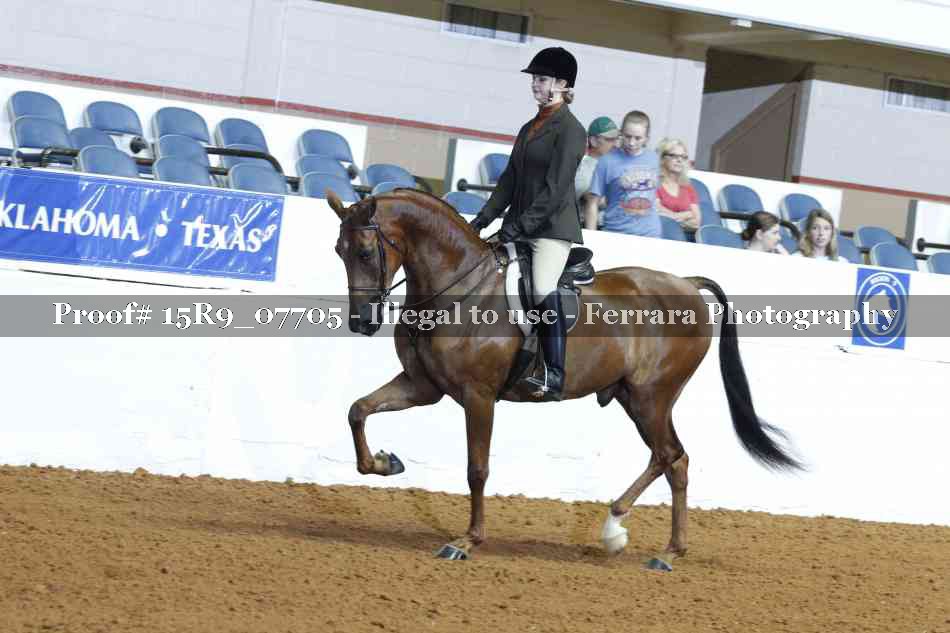 Proof Number 15R9_07705