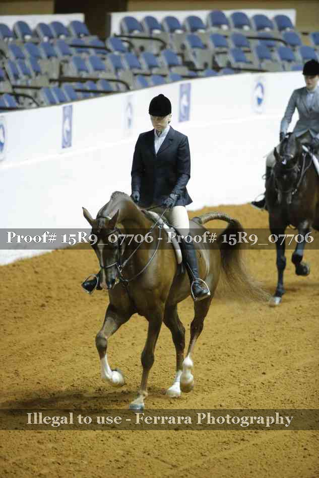 Proof Number 15R9_07706