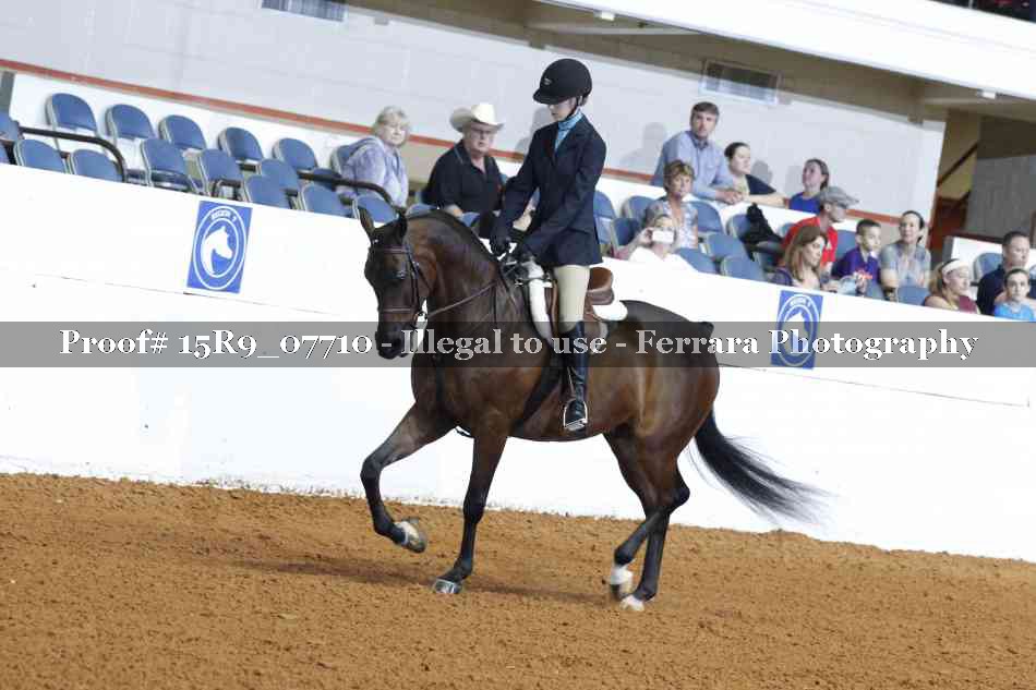 Proof Number 15R9_07710