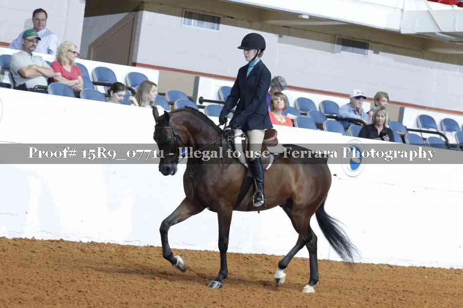 Proof Number 15R9_07711