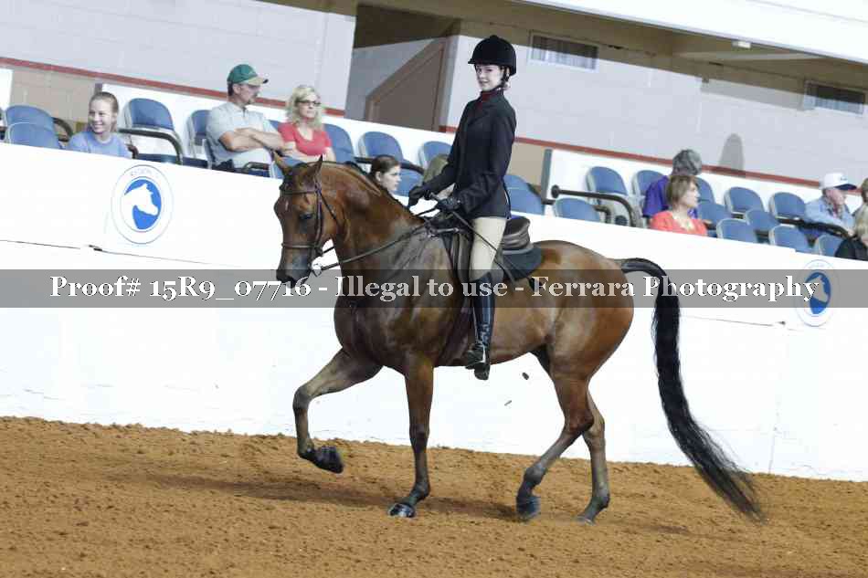Proof Number 15R9_07716