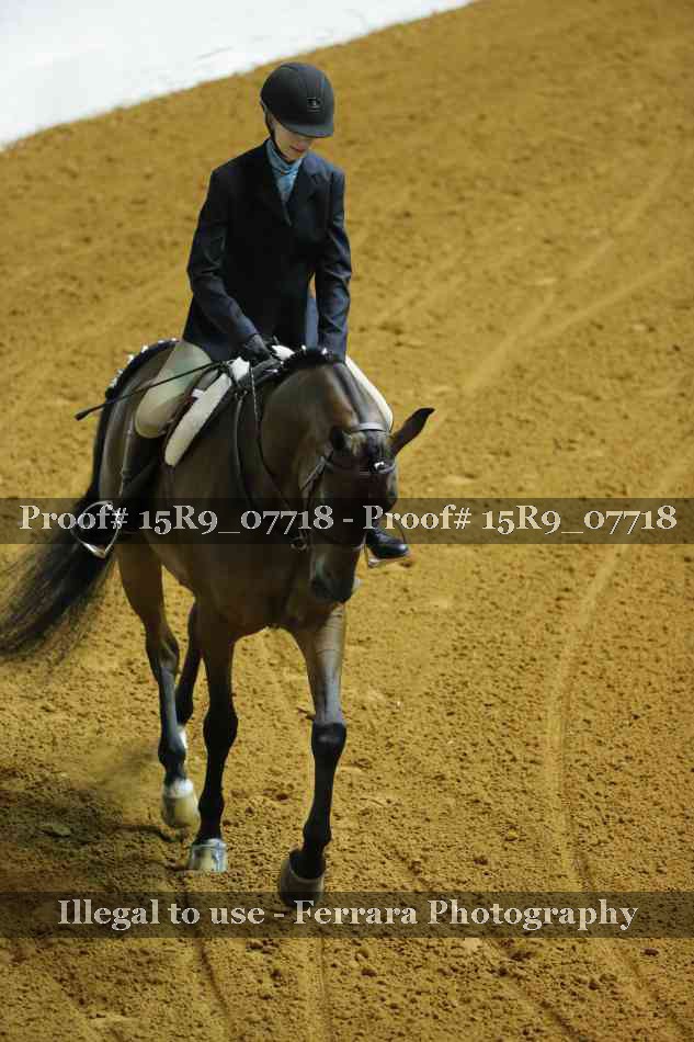 Proof Number 15R9_07718
