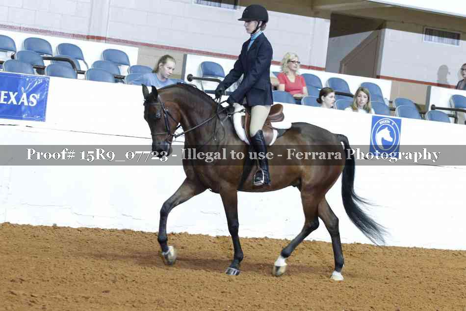 Proof Number 15R9_07723