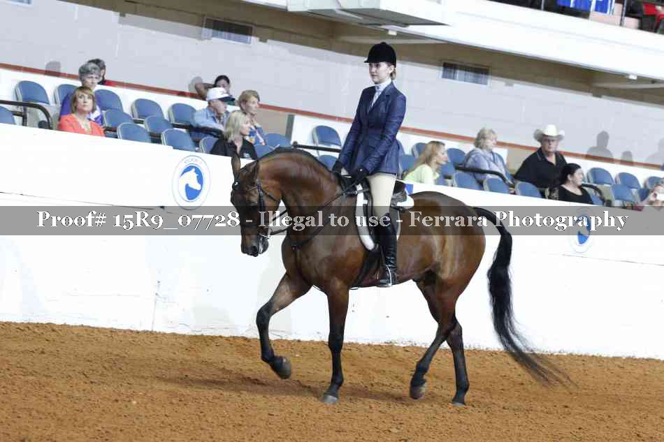 Proof Number 15R9_07728