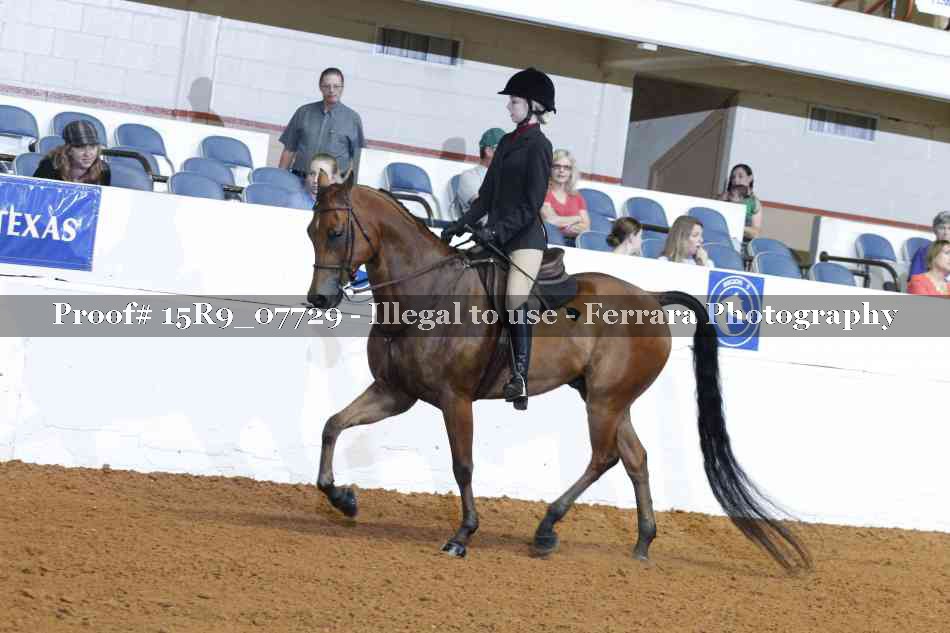 Proof Number 15R9_07729