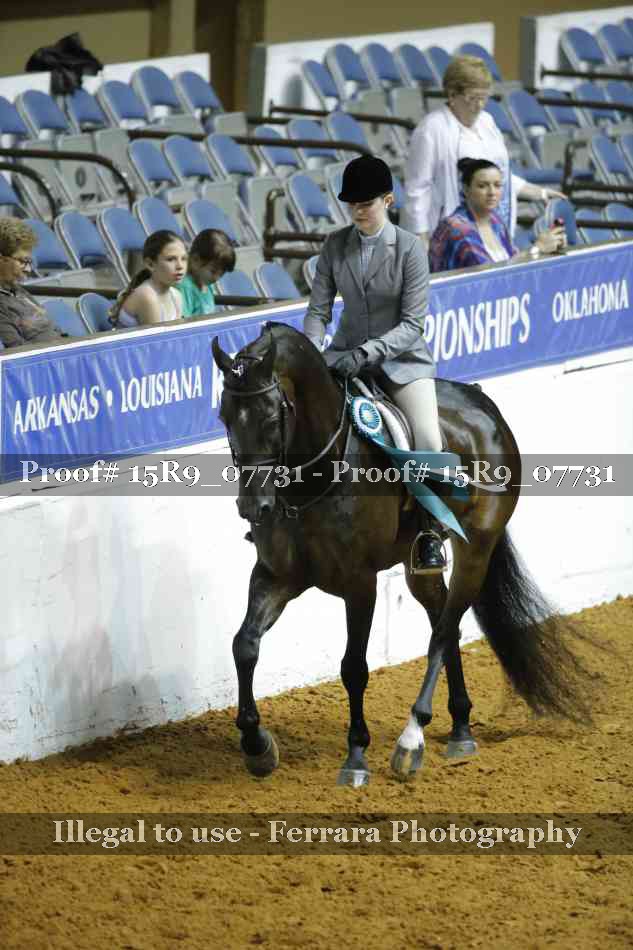 Proof Number 15R9_07731