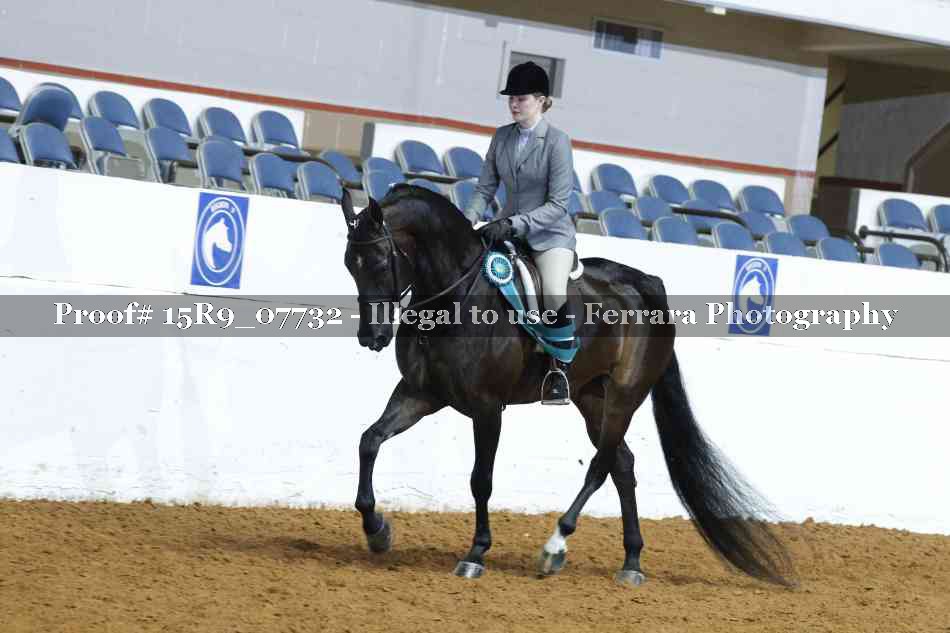 Proof Number 15R9_07732