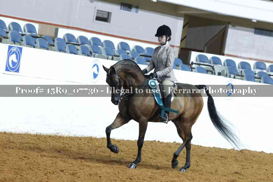 Proof Number 15R9_07736