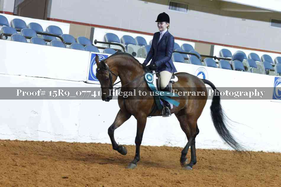 Proof Number 15R9_07741