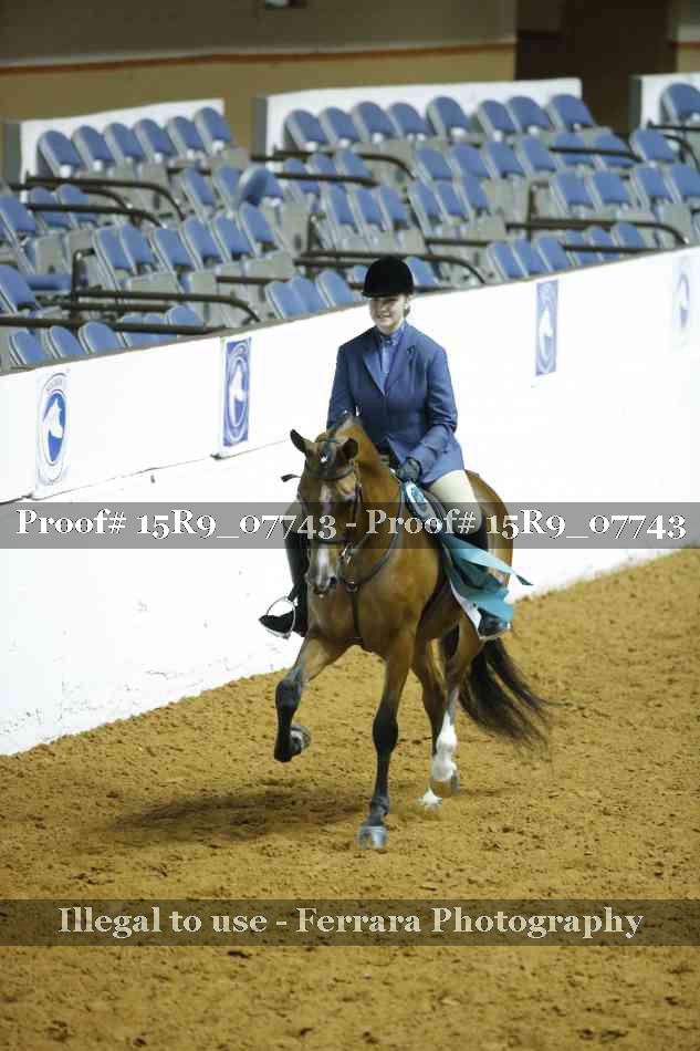 Proof Number 15R9_07743