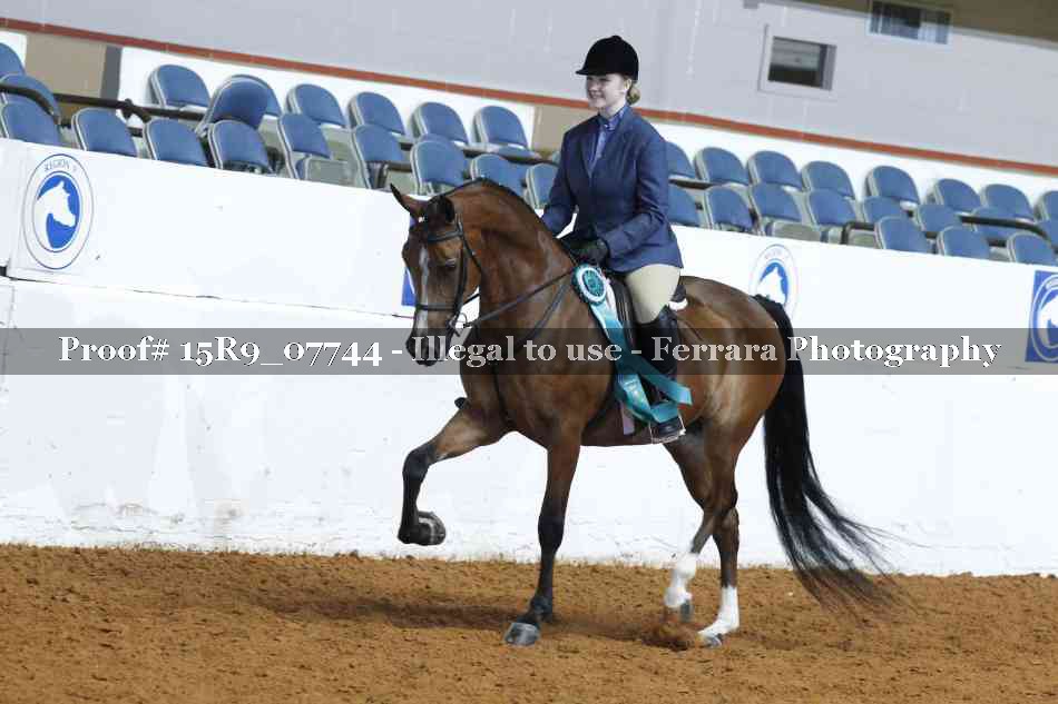 Proof Number 15R9_07744