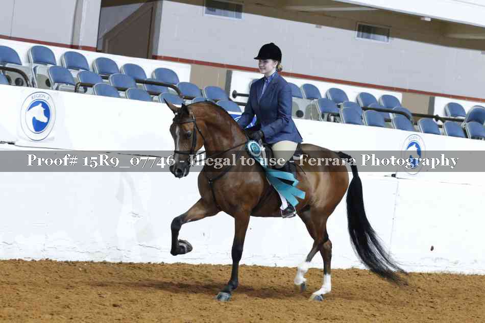 Proof Number 15R9_07746
