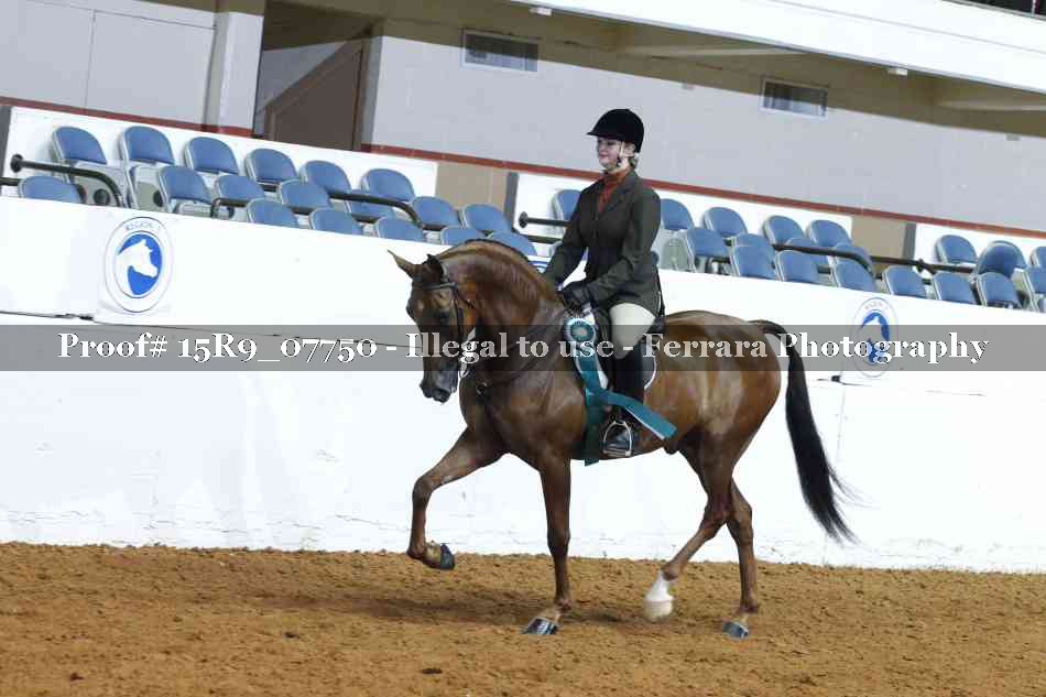 Proof Number 15R9_07750