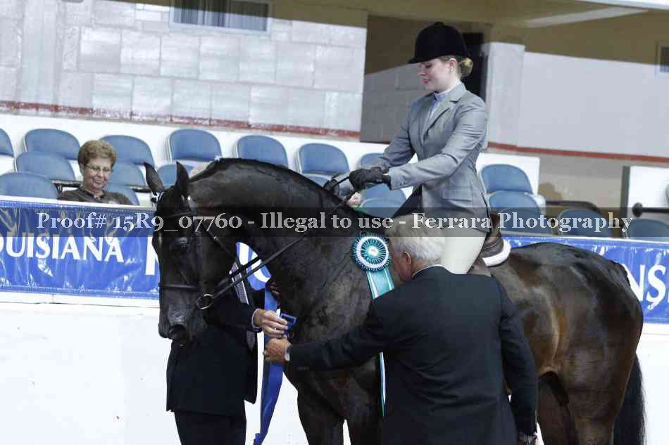Proof Number 15R9_07760