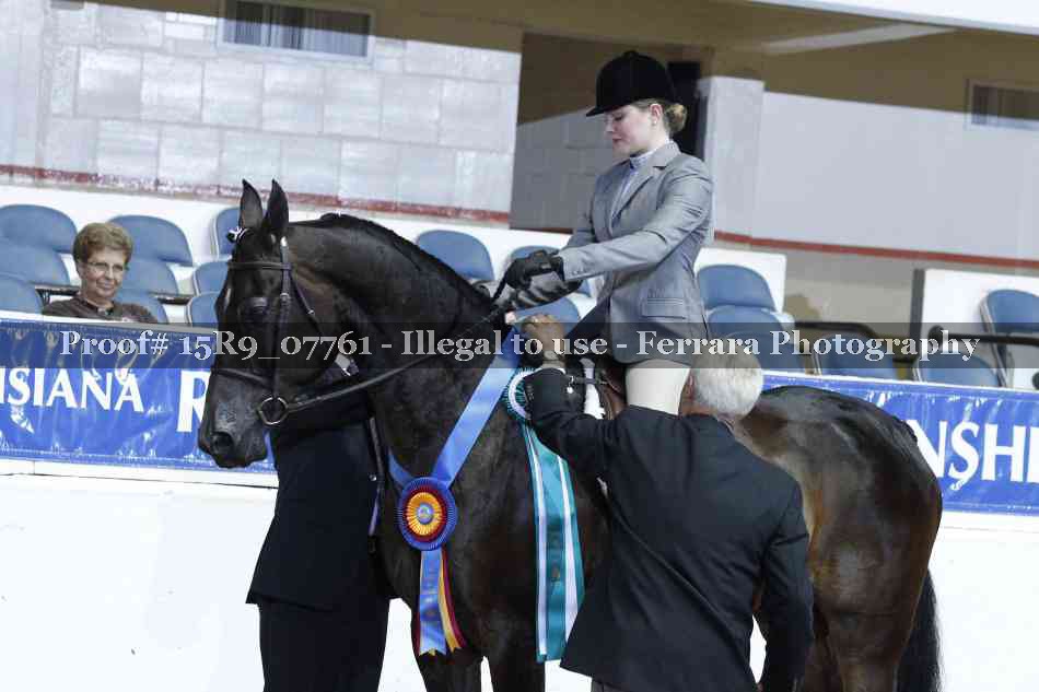 Proof Number 15R9_07761