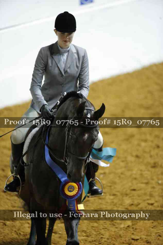 Proof Number 15R9_07765