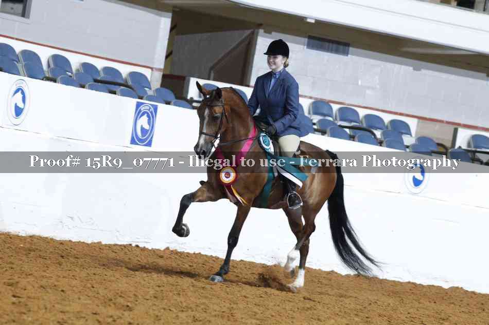Proof Number 15R9_07771