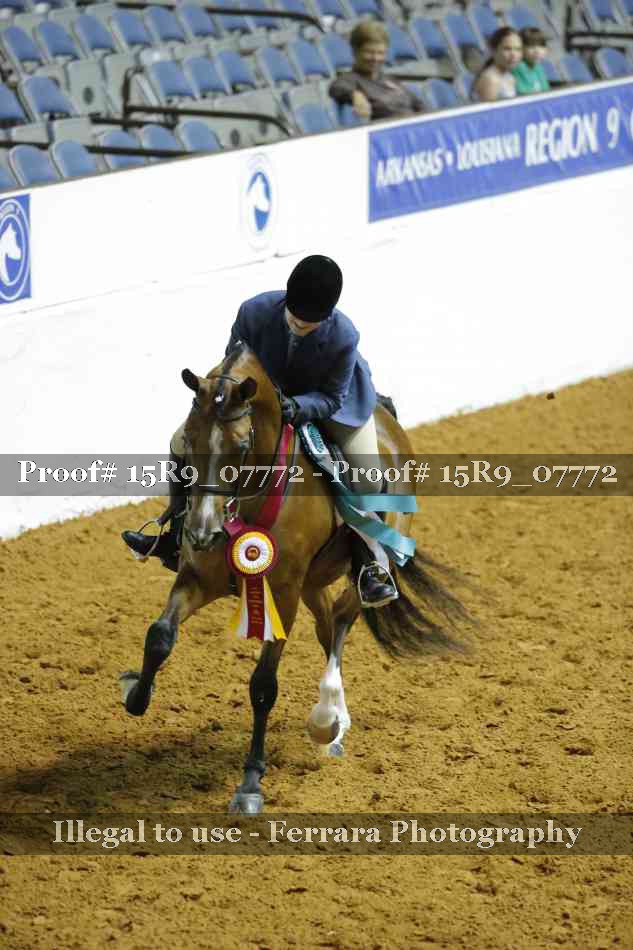 Proof Number 15R9_07772