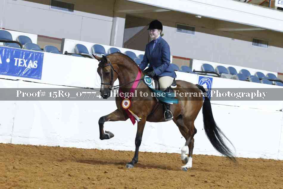 Proof Number 15R9_07774