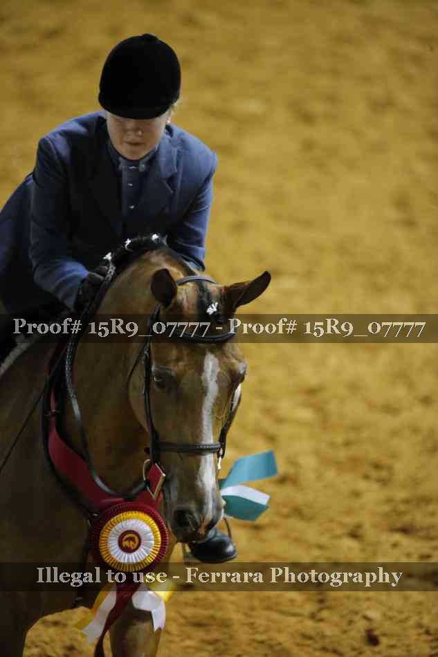 Proof Number 15R9_07777