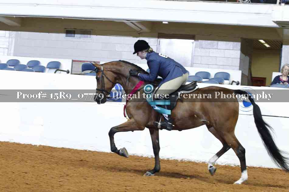 Proof Number 15R9_07779