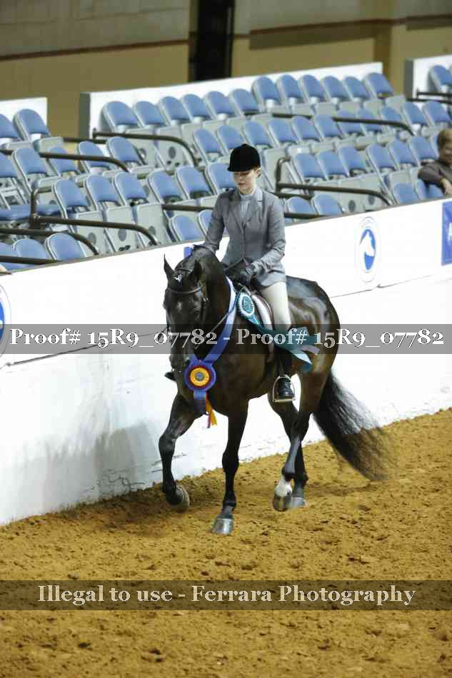 Proof Number 15R9_07782