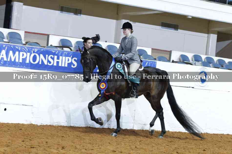 Proof Number 15R9_07785