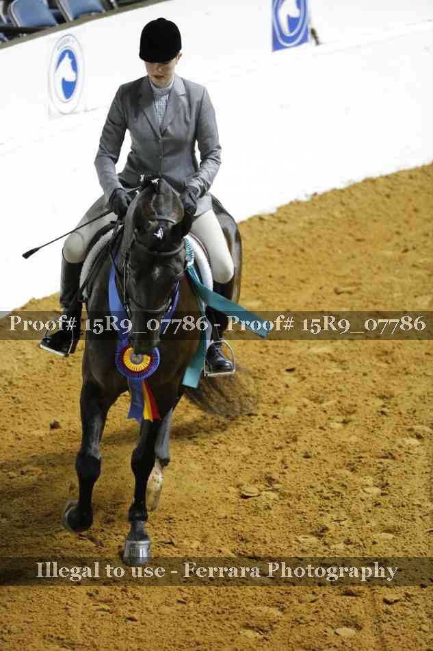 Proof Number 15R9_07786