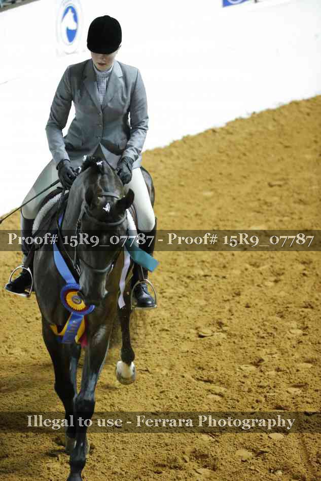 Proof Number 15R9_07787