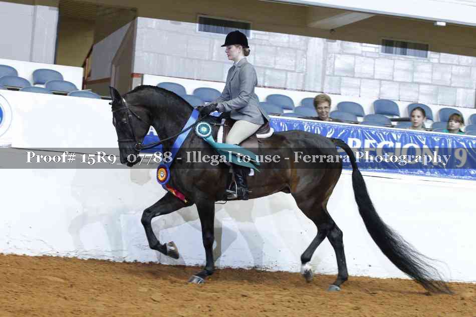 Proof Number 15R9_07788