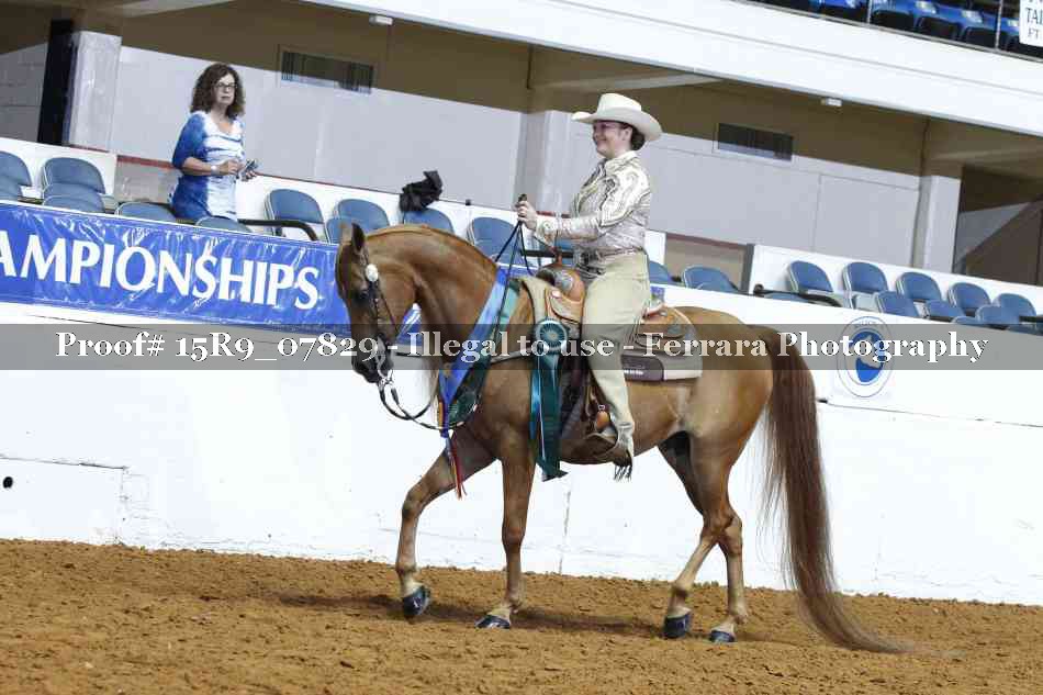 Proof Number 15R9_07829