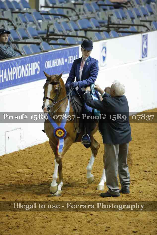 Proof Number 15R9_07837