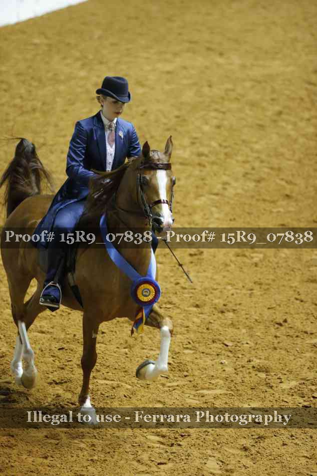 Proof Number 15R9_07838