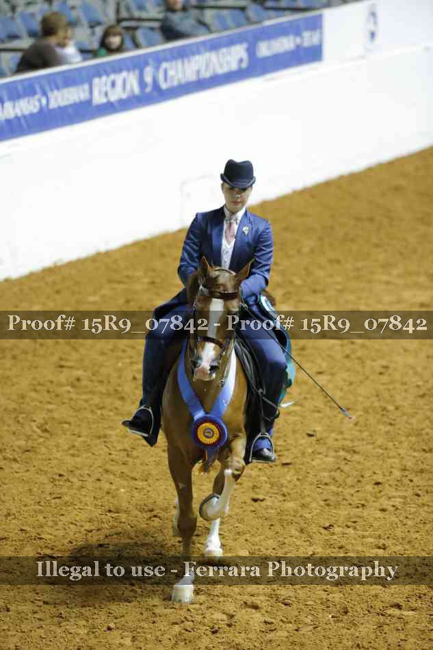 Proof Number 15R9_07842