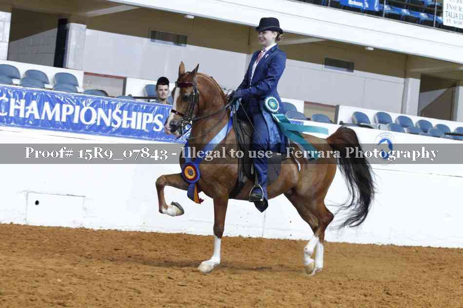 Proof Number 15R9_07843