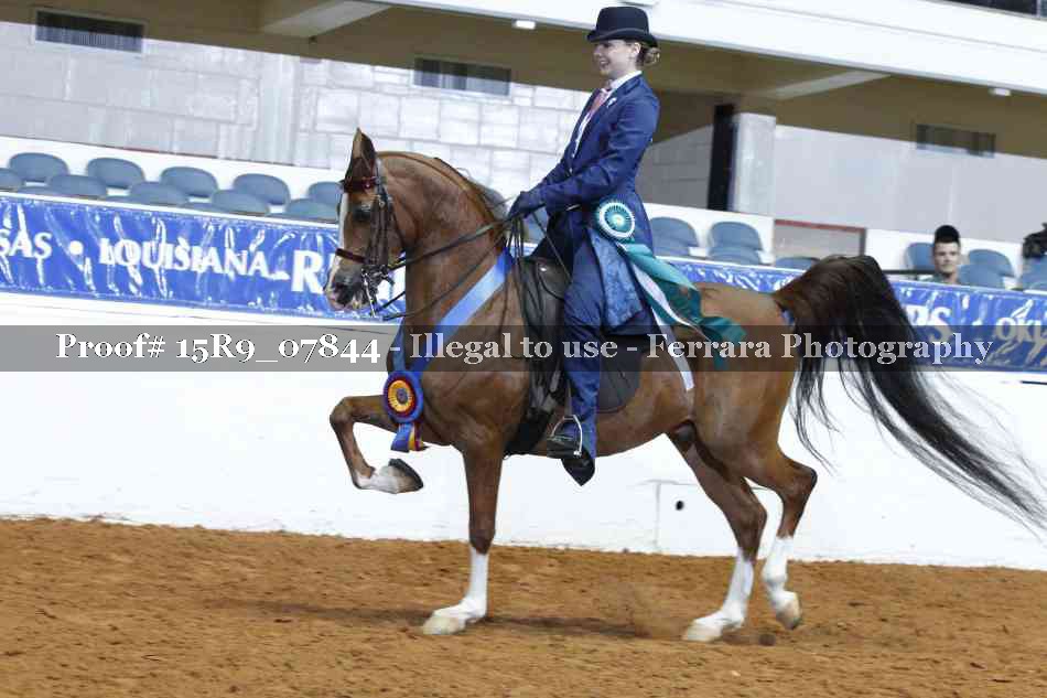 Proof Number 15R9_07844