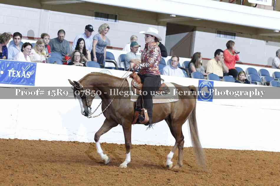 Proof Number 15R9_07850